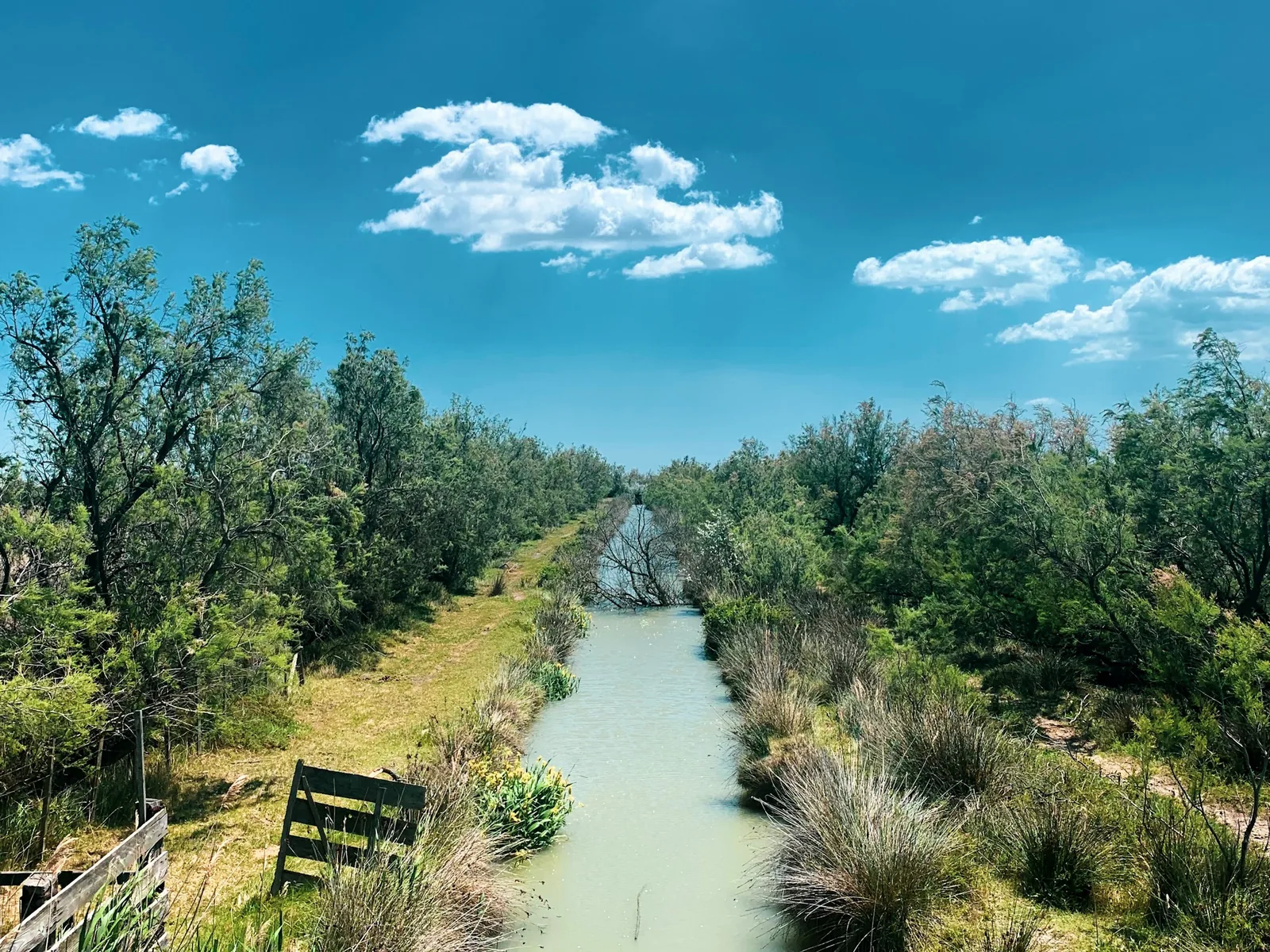 Canal Marais Camargue