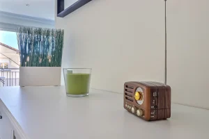 decoration appartement suzanne 5