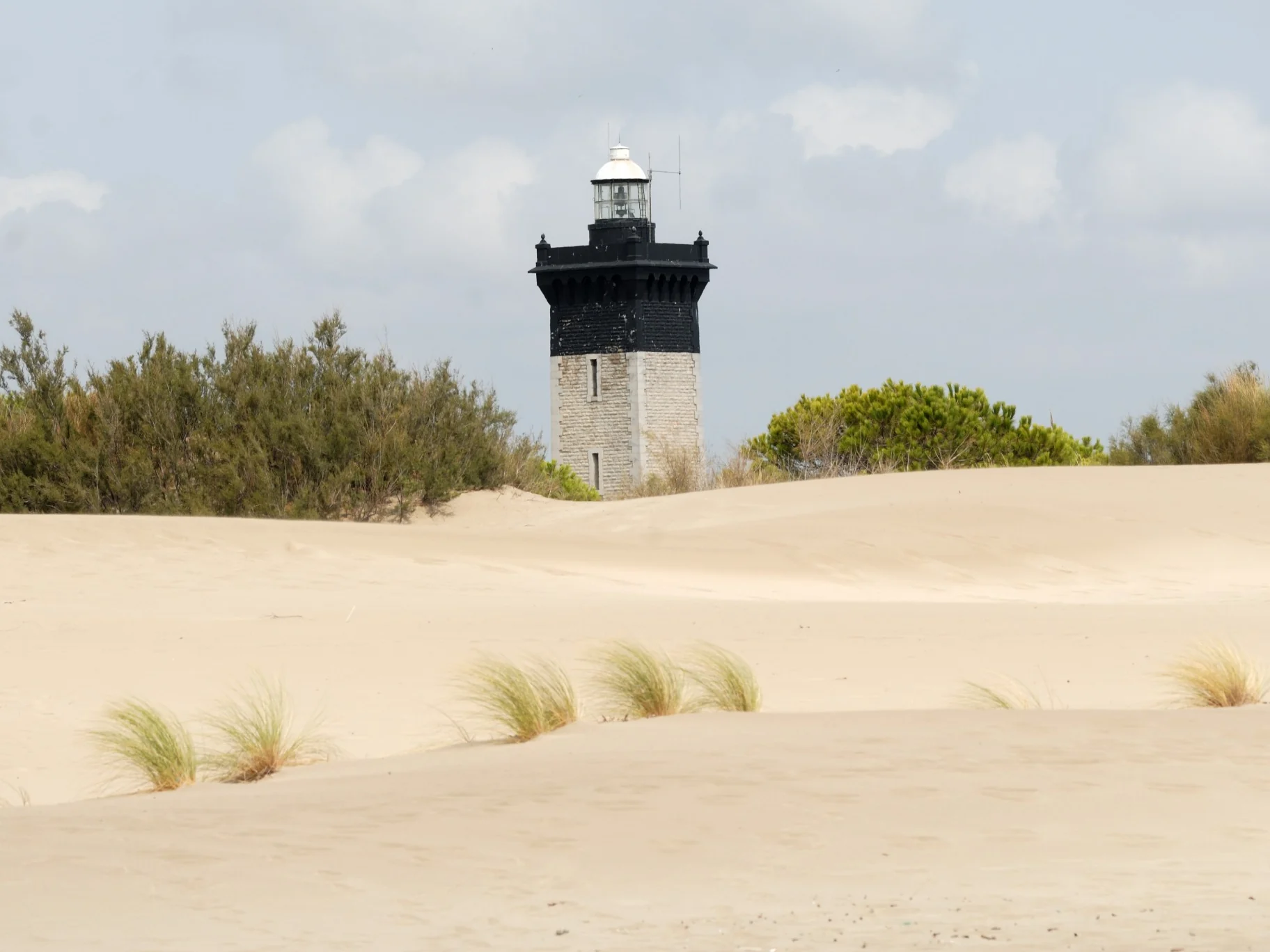 Le phare de l'Espiguette dans les dunes