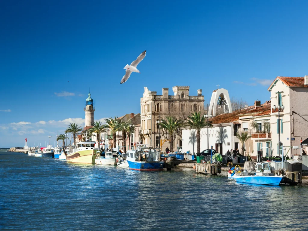 quais grau du roi
