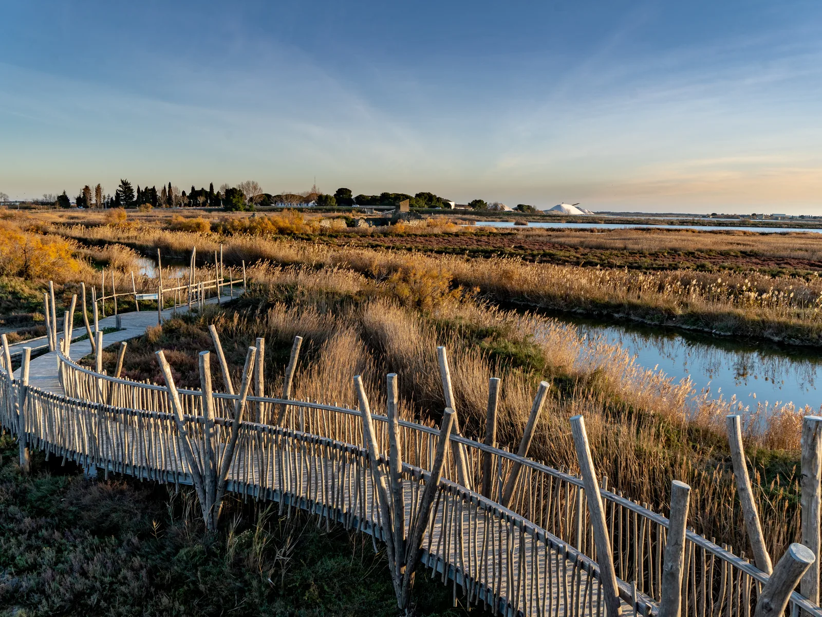 Sentier sur pilotis dans les marais